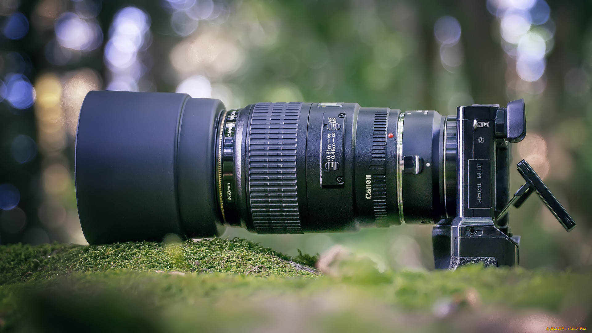 , canon, 